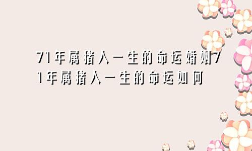 71年属猪人一生的命运婚姻71年属猪人一生的命运如何