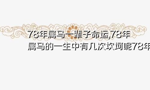 78年属马一辈子命运,78年属马的一生中有几次坎坷呢78年属马一生命运如何