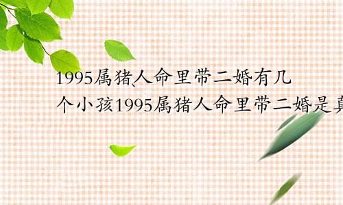 1995属猪人命里带二婚有几个小孩1995属猪人命里带二婚是真的吗