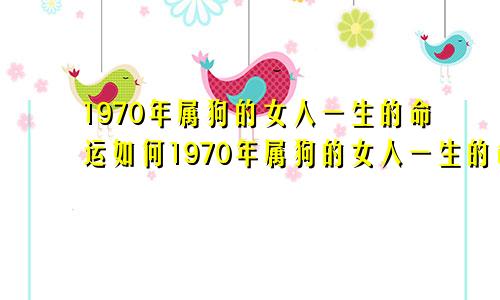 1970年属狗的女人一生的命运如何1970年属狗的女人一生的命运怎么样