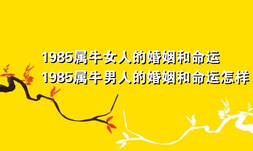 1985属牛女人的婚姻和命运1985属牛男人的婚姻和命运怎样