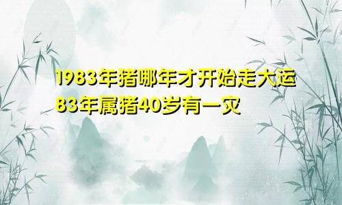 1983年猪哪年才开始走大运83年属猪40岁有一灾