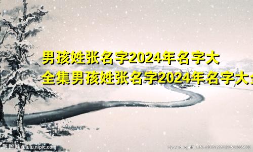 男孩姓张名字2024年名字大全集男孩姓张名字2024年名字大全四个字