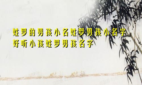 姓罗的男孩小名姓罗男孩小名字好听小孩姓罗男孩名字