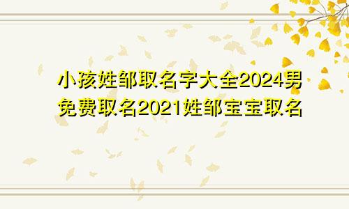 小孩姓邹取名字大全2024男免费取名2021姓邹宝宝取名