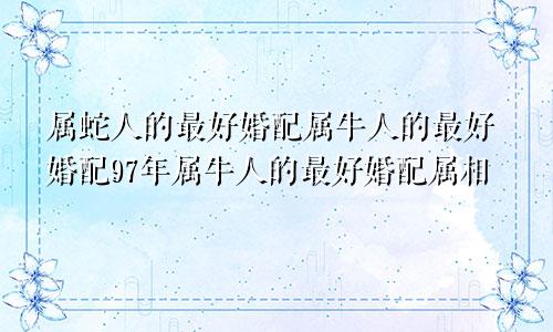 属蛇人的最好婚配属牛人的最好婚配97年属牛人的最好婚配属相