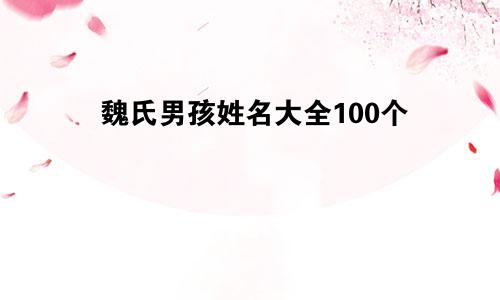 魏氏男孩姓名大全100个