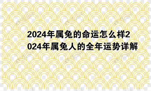 2024年属兔的命运怎么样2024年属兔人的全年运势详解