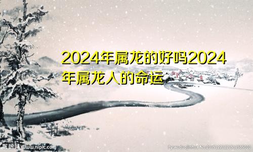 2024年属龙的好吗2024年属龙人的命运