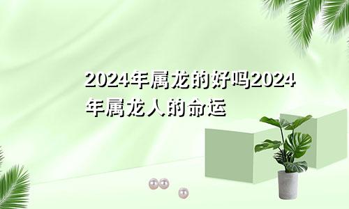 2024年属龙的好吗2024年属龙人的命运