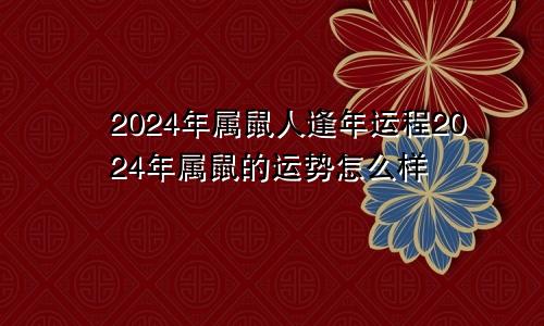 2024年属鼠人逢年运程2024年属鼠的运势怎么样