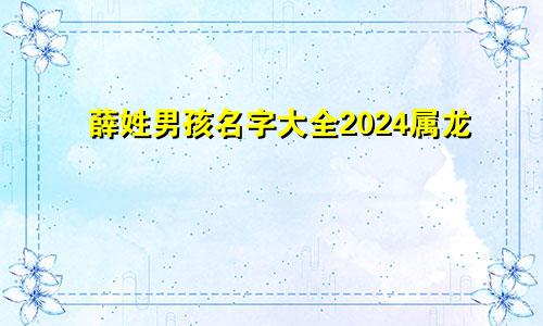 薛姓男孩名字大全2024属龙