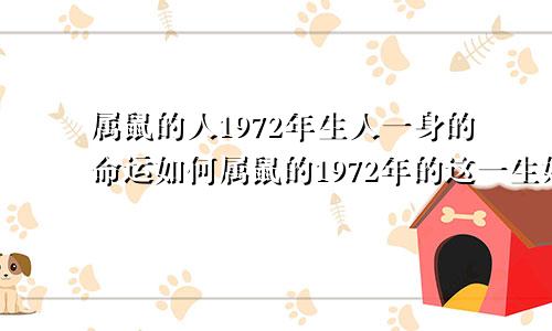 属鼠的人1972年生人一身的命运如何属鼠的1972年的这一生好吗