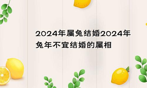 2024年属兔结婚2024年兔年不宜结婚的属相