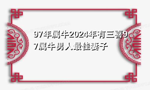 97年属牛2024年有三喜97属牛男人最佳妻子