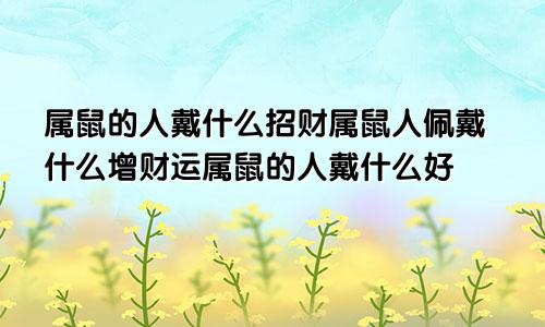 属鼠的人戴什么招财属鼠人佩戴什么增财运属鼠的人戴什么好