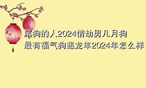 属狗的人2024情劫男几月狗最有福气狗遇龙年2024年怎么样