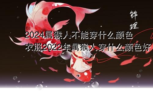 2024属猴人不能穿什么颜色衣服2022年属猴人穿什么颜色好