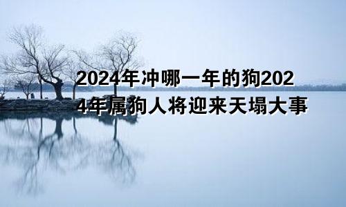 2024年冲哪一年的狗2024年属狗人将迎来天塌大事