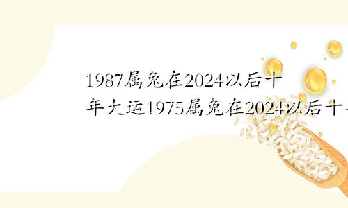 1987属兔在2024以后十年大运1975属兔在2024以后十年大运女