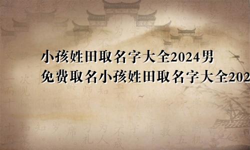 小孩姓田取名字大全2024男免费取名小孩姓田取名字大全2024男免费起名