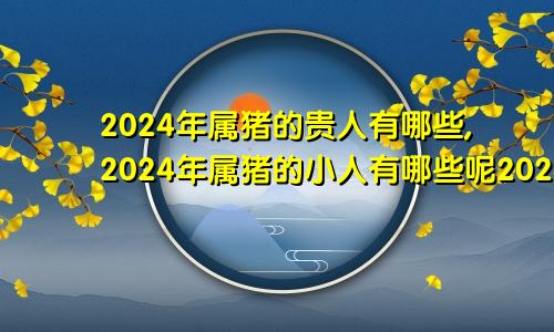 2024年属猪的贵人有哪些,2024年属猪的小人有哪些呢2024年属猪的财运和运气如何