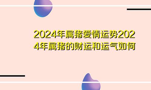 2024年属猪爱情运势2024年属猪的财运和运气如何