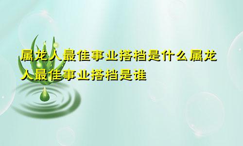 属龙人最佳事业搭档是什么属龙人最佳事业搭档是谁