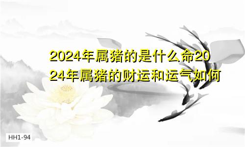 2024年属猪的是什么命2024年属猪的财运和运气如何