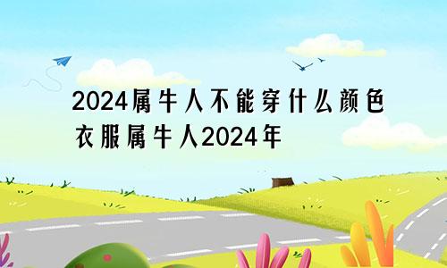 2024属牛人不能穿什么颜色衣服属牛人2024年