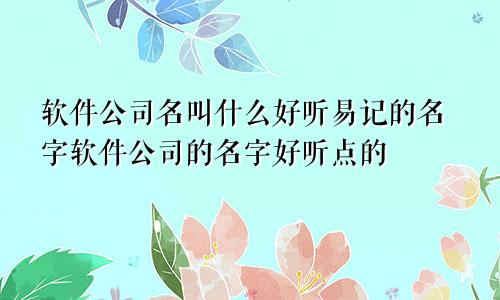 软件公司名叫什么好听易记的名字软件公司的名字好听点的