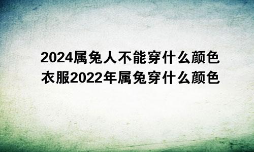 2024属兔人不能穿什么颜色衣服2022年属兔穿什么颜色