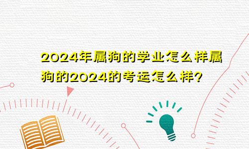 2024年属狗的学业怎么样属狗的2024的考运怎么样?