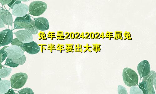 兔年是20242024年属兔下半年要出大事