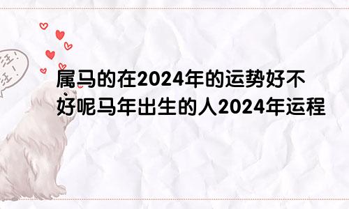 属马的在2024年的运势好不好呢马年出生的人2024年运程