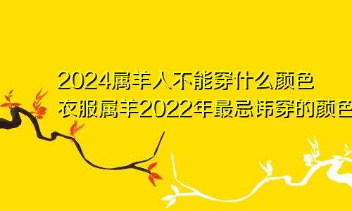 2024属羊人不能穿什么颜色衣服属羊2022年最忌讳穿的颜色