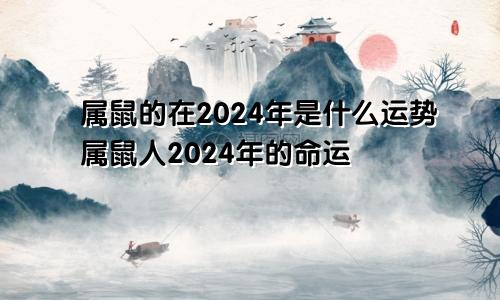 属鼠的在2024年是什么运势属鼠人2024年的命运