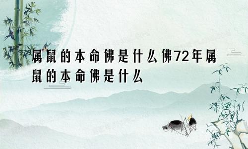 属鼠的本命佛是什么佛72年属鼠的本命佛是什么