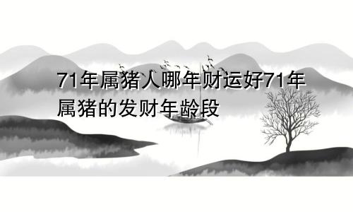 71年属猪人哪年财运好71年属猪的发财年龄段