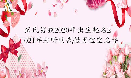 武氏男孩2020年出生起名2021年好听的武姓男宝宝名字