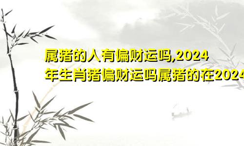 属猪的人有偏财运吗,2024年生肖猪偏财运吗属猪的在2024年的运程是怎么样