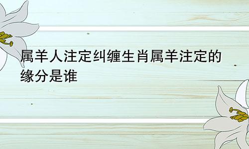 属羊人注定纠缠生肖属羊注定的缘分是谁