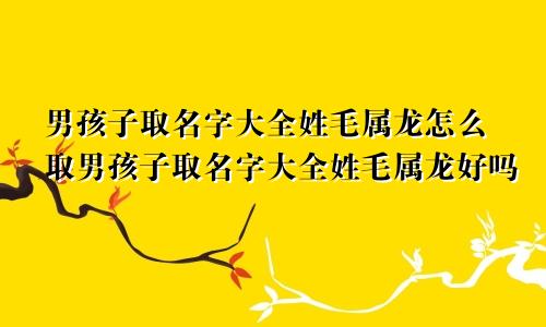 男孩子取名字大全姓毛属龙怎么取男孩子取名字大全姓毛属龙好吗