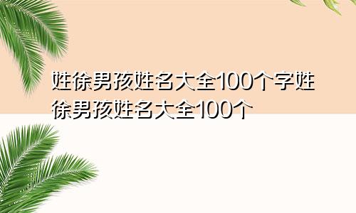 姓徐男孩姓名大全100个字姓徐男孩姓名大全100个