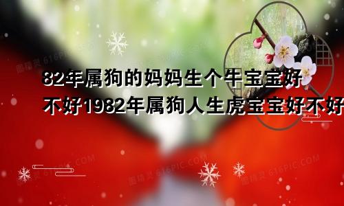 82年属狗的妈妈生个牛宝宝好不好1982年属狗人生虎宝宝好不好