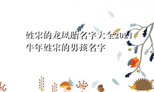 姓宋的龙凤胎名字大全2021牛年姓宋的男孩名字