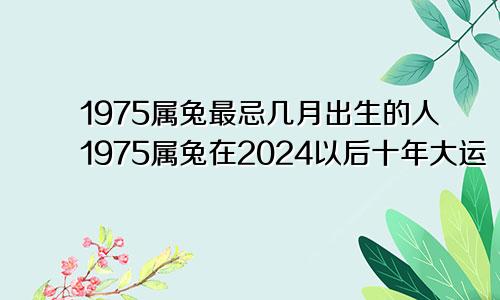 1975属兔最忌几月出生的人1975属兔在2024以后十年大运