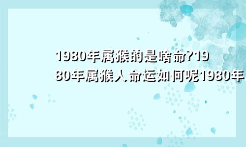 1980年属猴的是啥命?1980年属猴人命运如何呢1980年属猴的人是什么命人