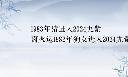 1983年猪进入2024九紫离火运1982年狗女进入2024九紫离火运