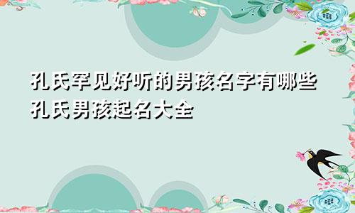 孔氏罕见好听的男孩名字有哪些孔氏男孩起名大全